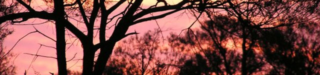 Jame mclean Rotating Header Image