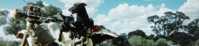 Jame mclean Rotating Header Image