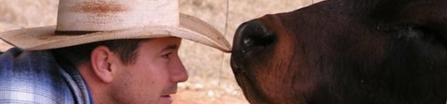 Jame mclean Rotating Header Image